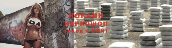 прущие крисы Кулебаки