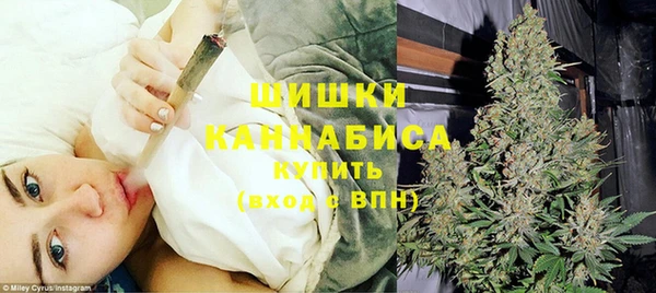 прущие крисы Кулебаки