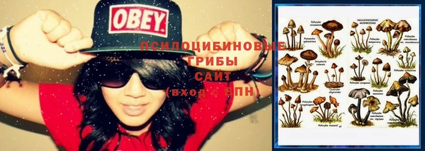 кристаллы Куйбышев