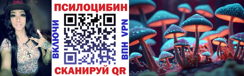 где продают наркотики  Усть-Джегута  Псилоцибиновые грибы мухоморы 