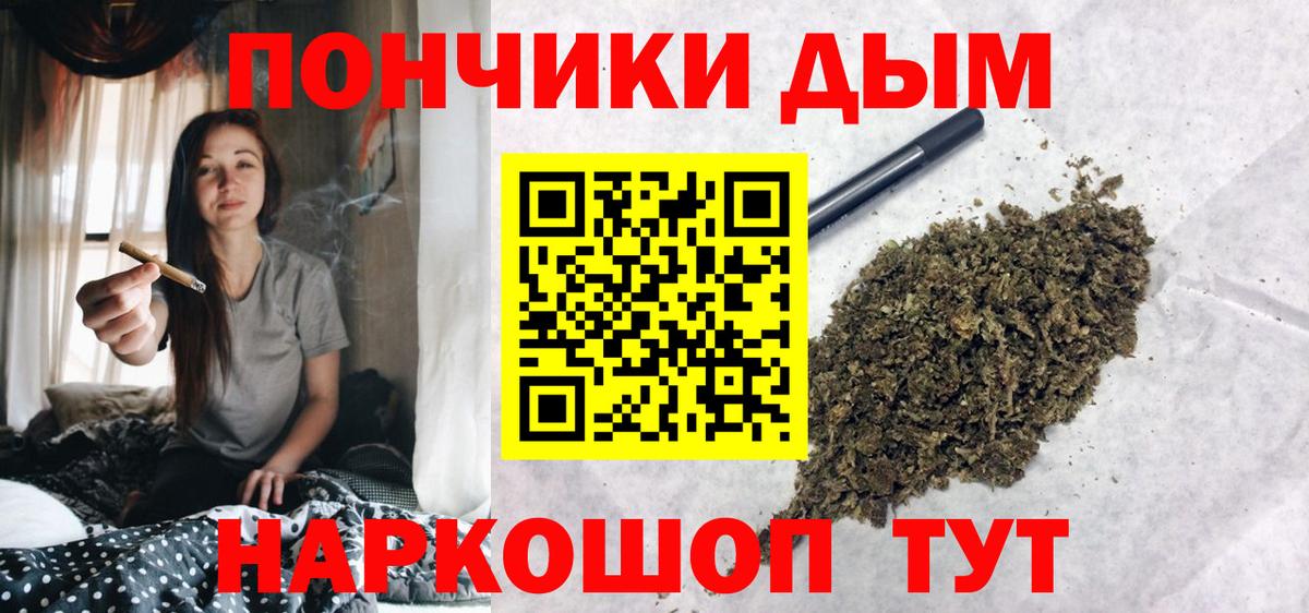 Каннабис сатива Усть-Джегута
